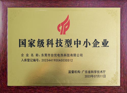 国家级科技型中小企业