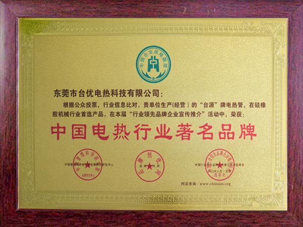 中国电热行业著名品牌